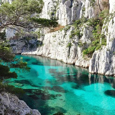 Le Patio Des Mimosas Par Dodo-a-cassis Bed & Breakfast