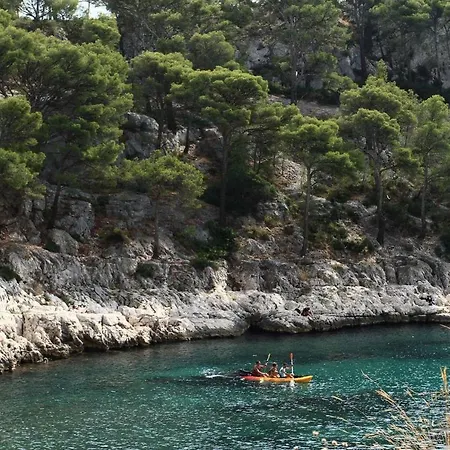 Le Patio Des Mimosas Par Dodo-a-cassis 3*